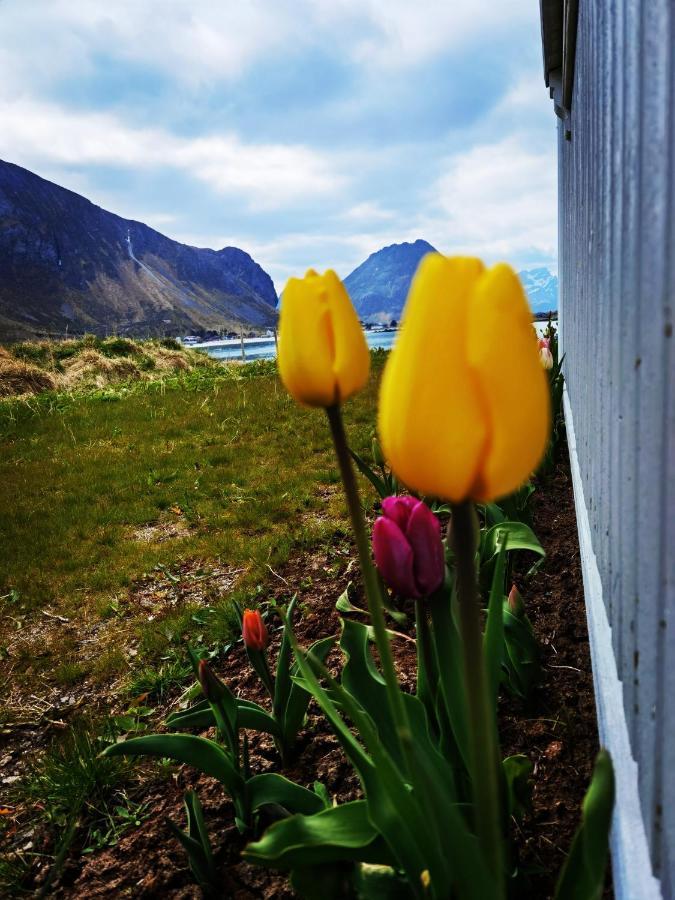 Banpim Beachside Lofoten Ramberg Exterior photo
