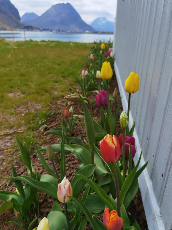 Banpim Beachside Lofoten Ramberg Exterior photo